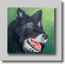Man's best friend